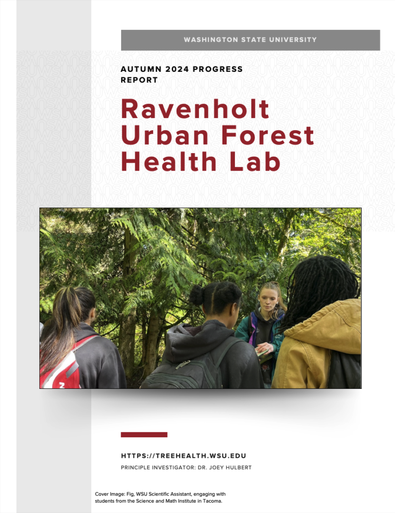 Autumn 2024 Progress Report